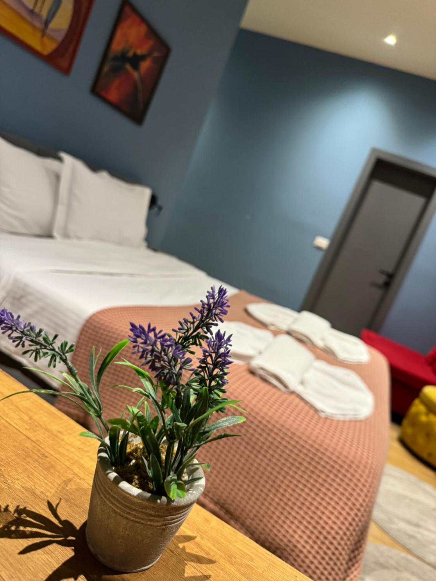 Hotel Tirona Tirana Eksteriør billede